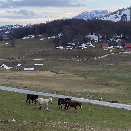 Blackberry House Zabljak Dış mekan fotoğraf