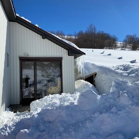 Blackberry House Zabljak Dış mekan fotoğraf