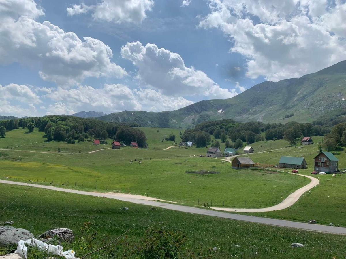 Blackberry House Zabljak Dış mekan fotoğraf