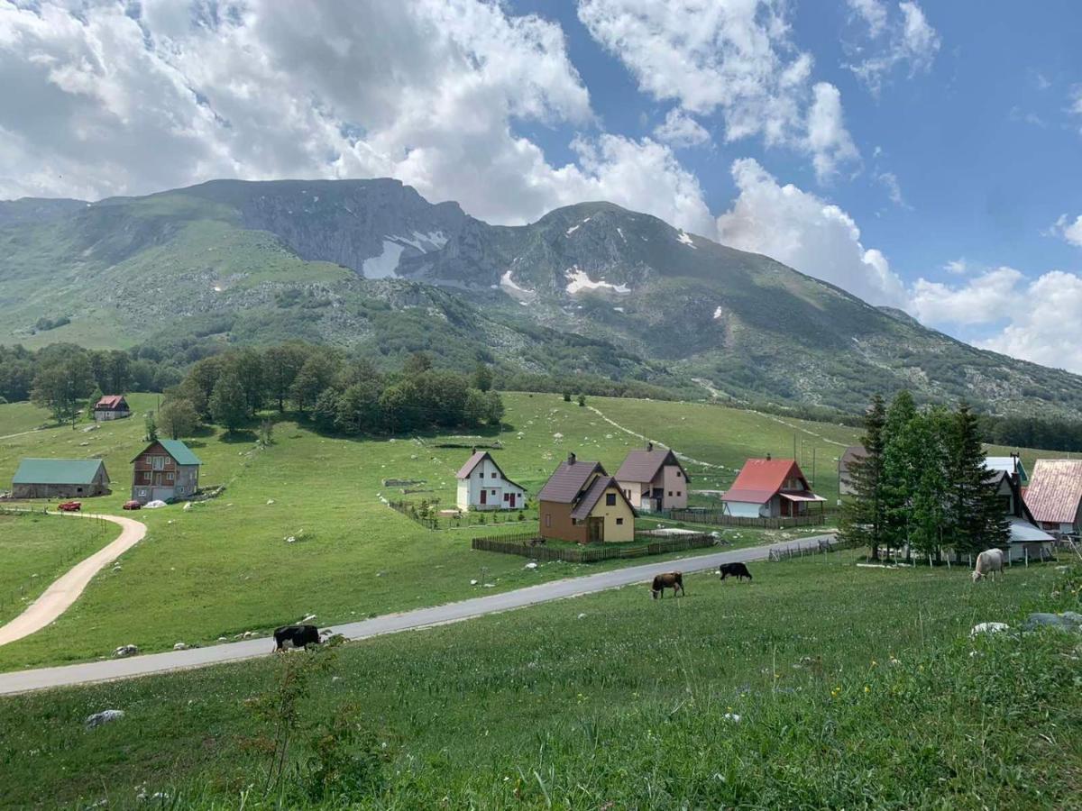 Blackberry House Zabljak Dış mekan fotoğraf