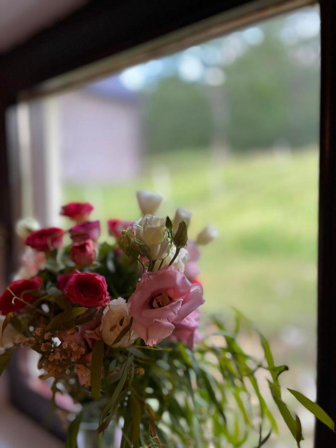 Blackberry House Zabljak Dış mekan fotoğraf