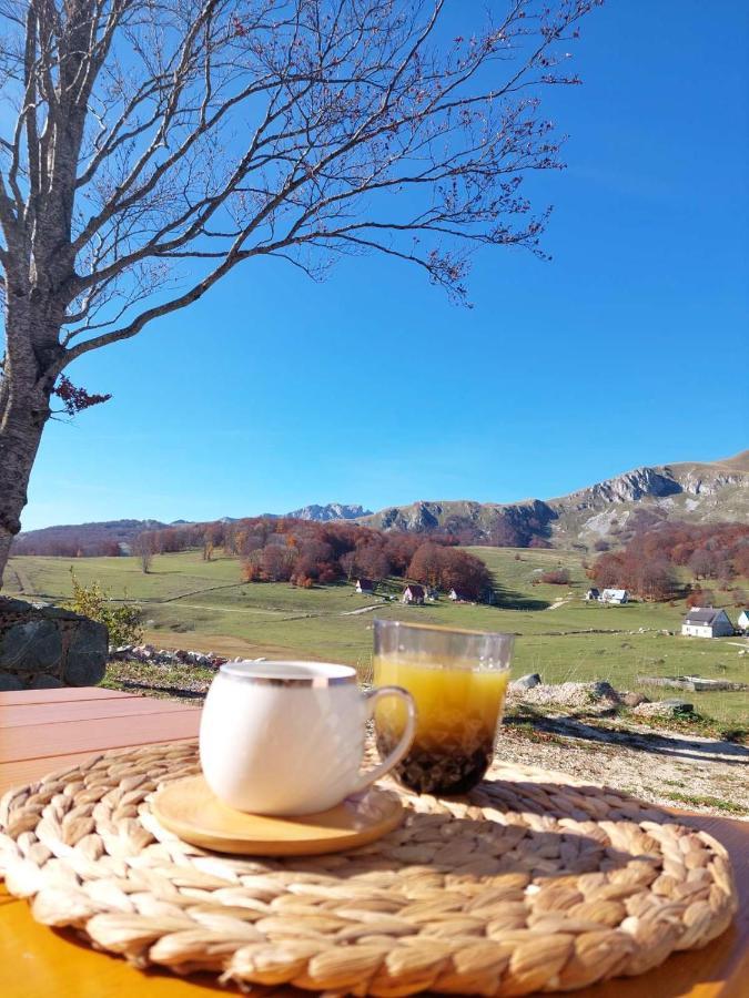 Blackberry House Zabljak Dış mekan fotoğraf