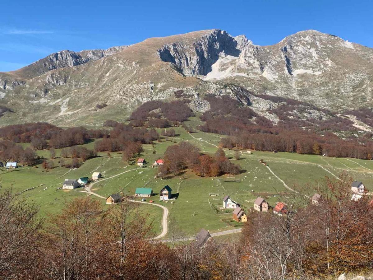 Blackberry House Zabljak Dış mekan fotoğraf