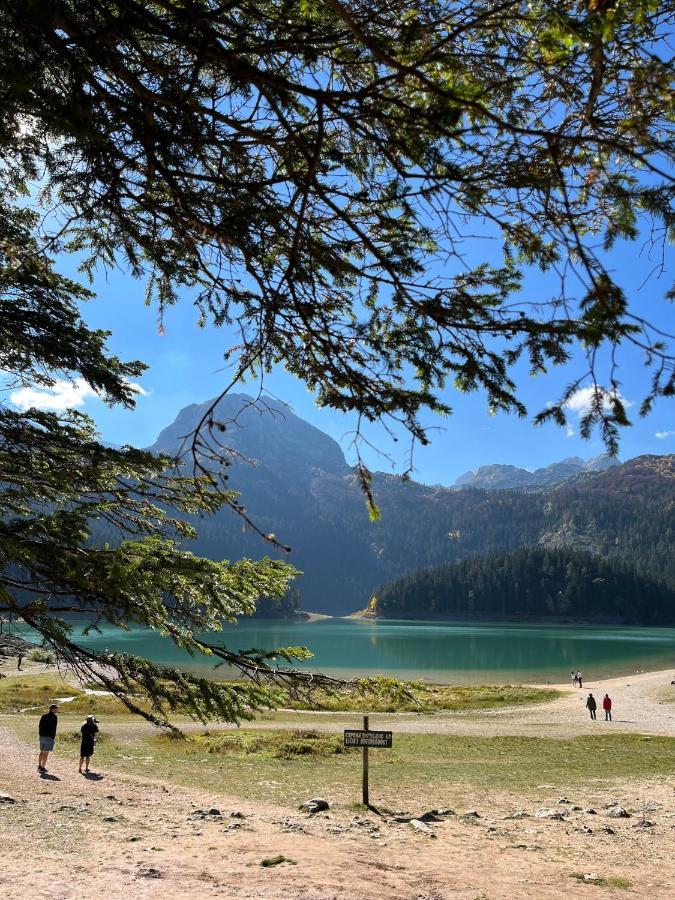 Blackberry House Zabljak Dış mekan fotoğraf