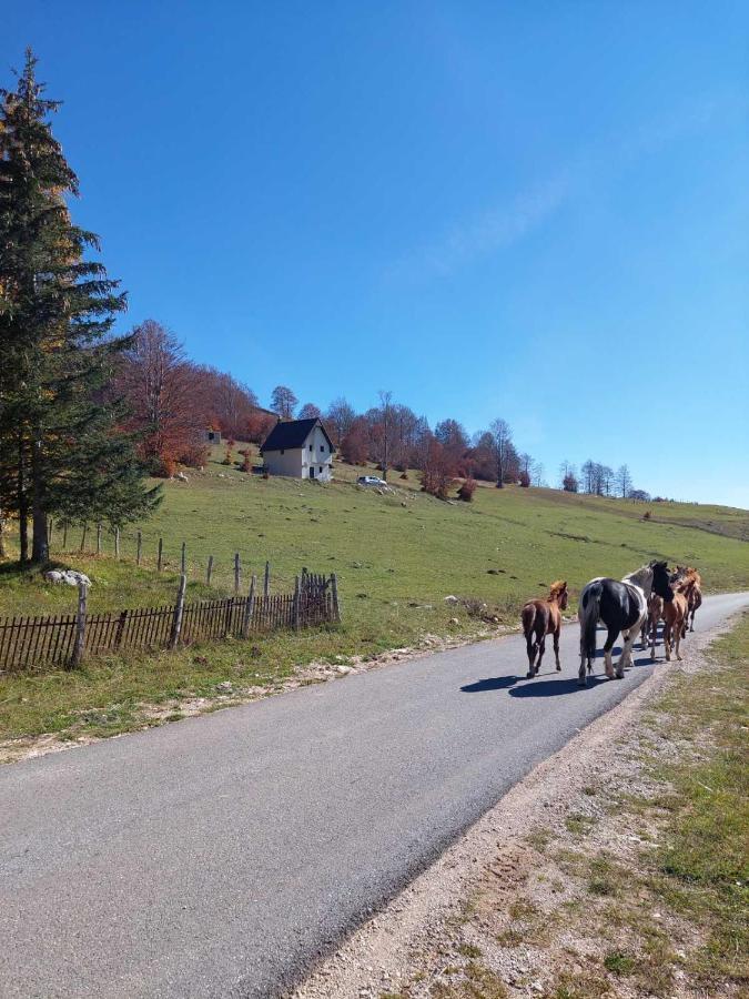 Blackberry House Zabljak Dış mekan fotoğraf