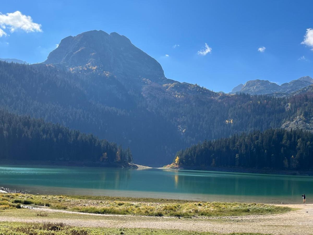 Blackberry House Zabljak Dış mekan fotoğraf