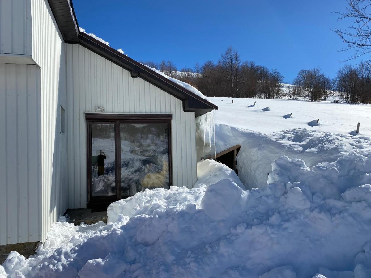 Blackberry House Zabljak Dış mekan fotoğraf